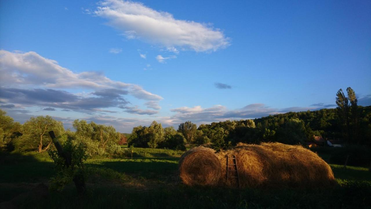 Szellosreti Vendeglak Balvanyos Exterior photo